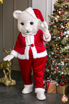 Santa Claus Velvet costume for Mascot