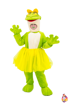 Frog Carnival сostume
